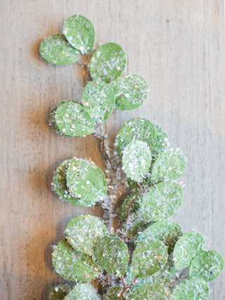 decorate your holiday home with these sprigs of sparkling eucalytptus that look snow dusted for chic winter house greenery