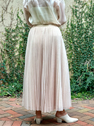 Twirl in Tulle Maxi Skirt