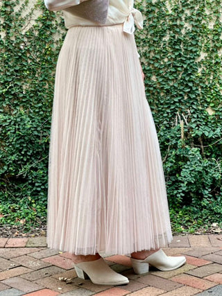 Twirl in Tulle Maxi Skirt