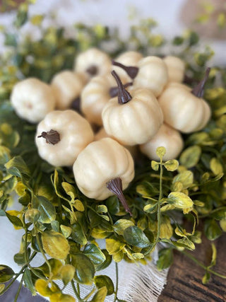 a collection of off white miniature pumpkins perfect for halloween and thanksgiving home decor accents